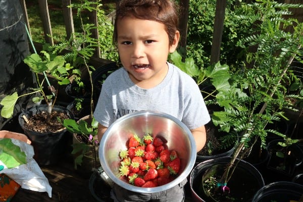 Gardening Diversity children image 438