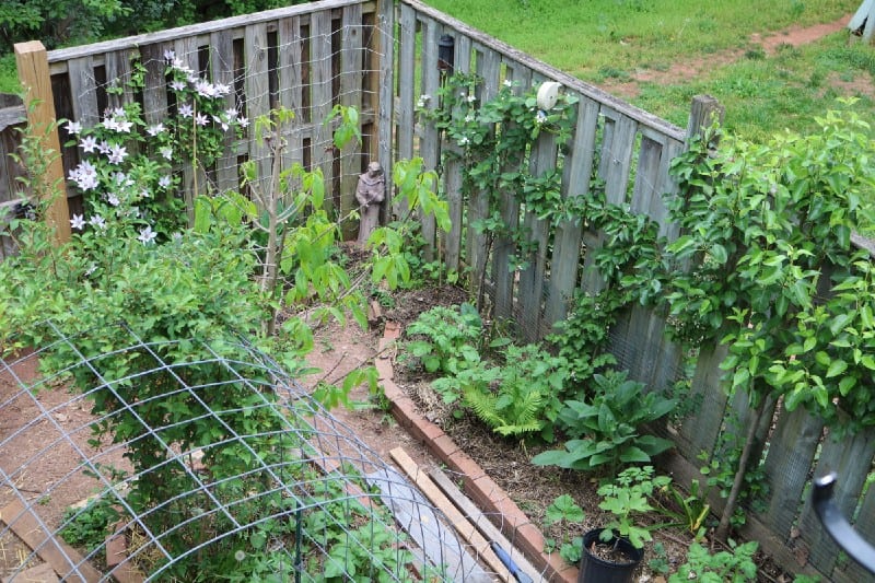 Gardening Diversity children image 440