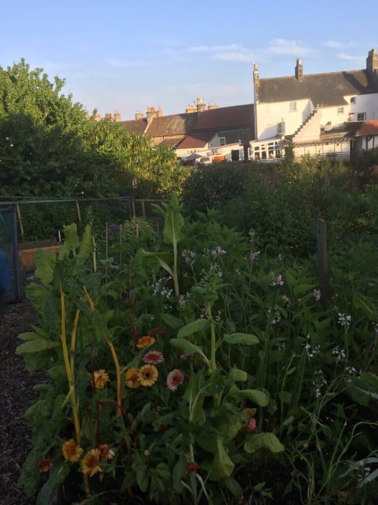 image 462