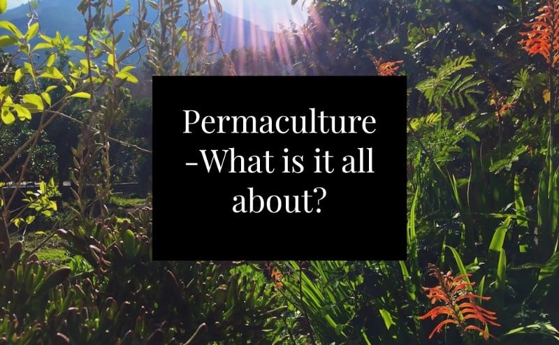 What permaculture is and isn’t