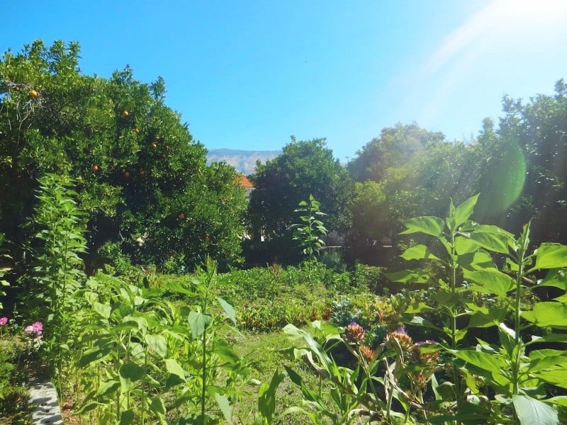 What is permaculture design image 596