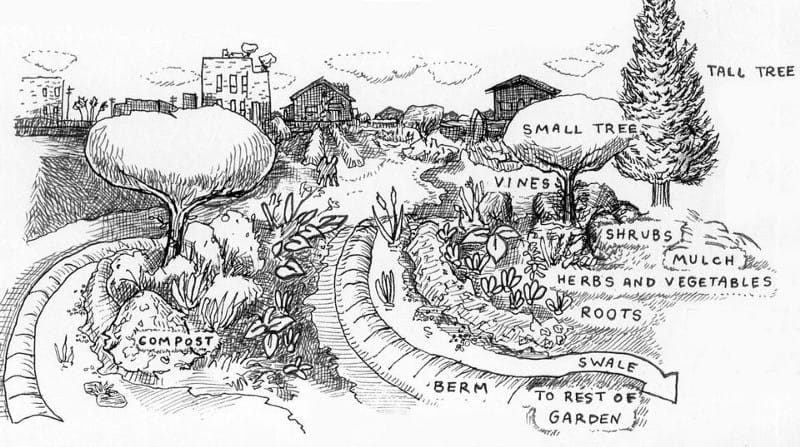 What is permaculture design image 599