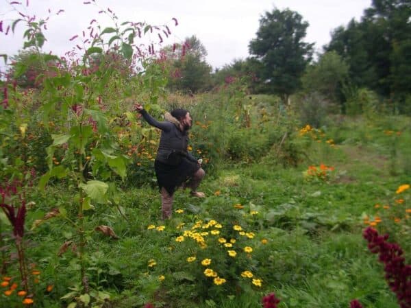 Learn Permaculture for Free livelihood image 634