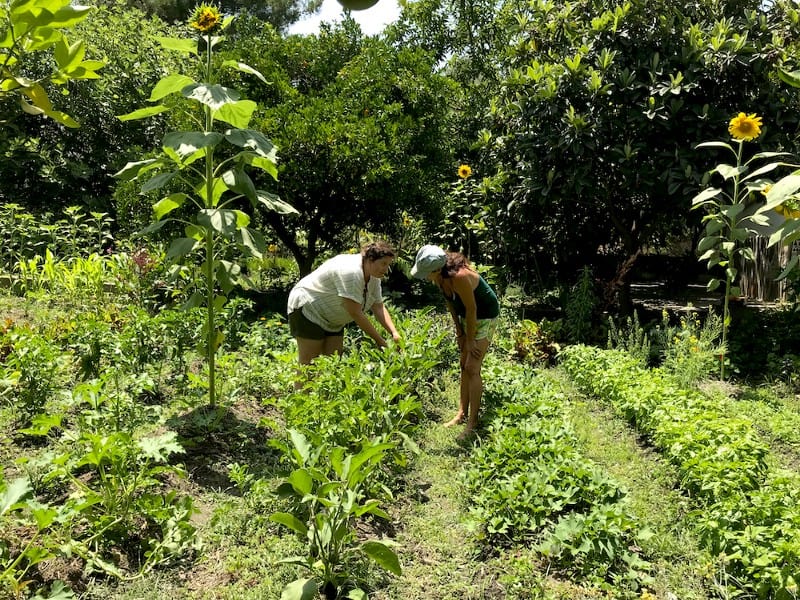 teach permaculture Climate Change image 646