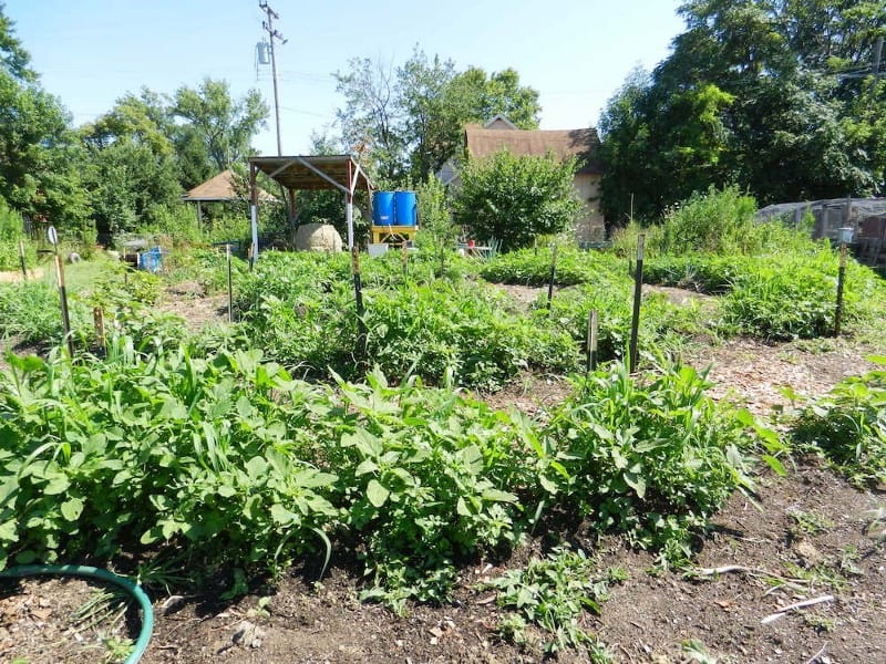 teach permaculture Climate Change image 648