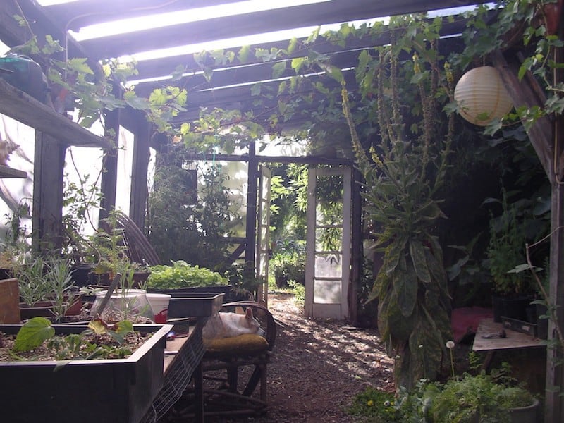 benefits of a greenhouse Climate Change image 659