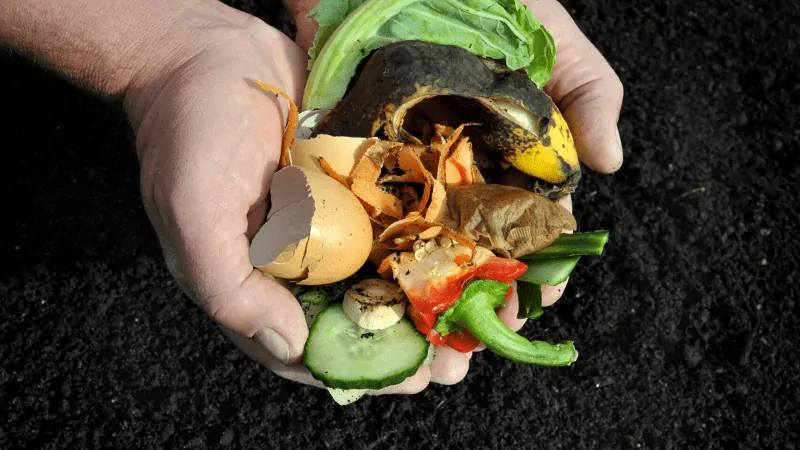 In-Situ composting children image 68