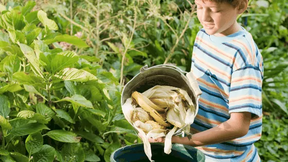 In-Situ composting children image 70