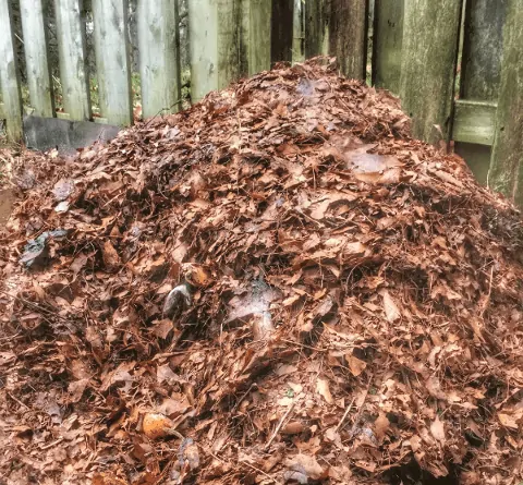 In-Situ composting children image 72