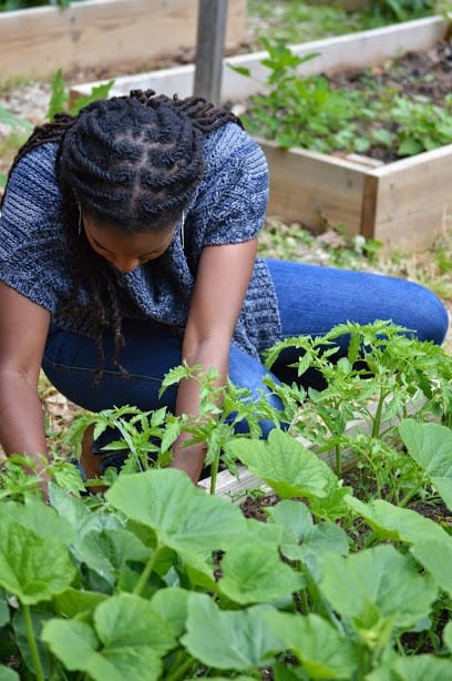 Local Food Justice community image 77