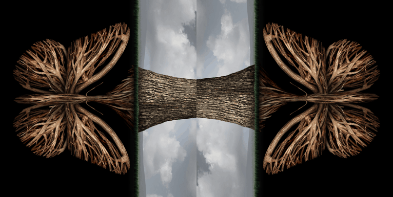 Permaculture and Emergence creativity image 84