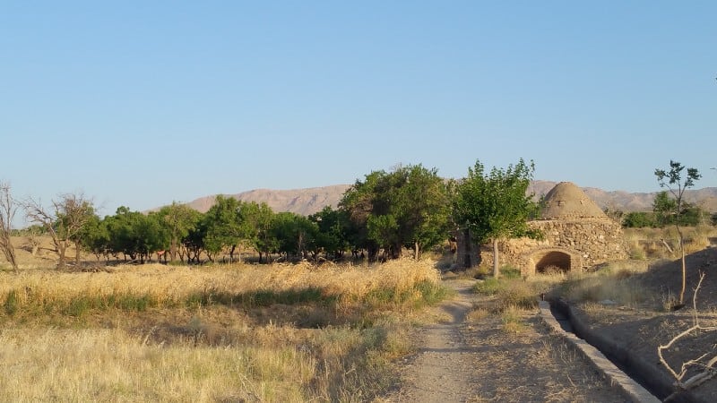 Permaculture in Iran children image 85