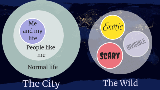 What is Rewilding cities image 94