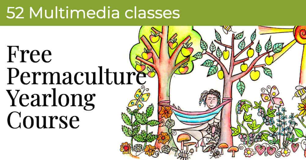 permaculture for beginners fpc