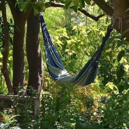 online permaculture design course for women image 12 edited