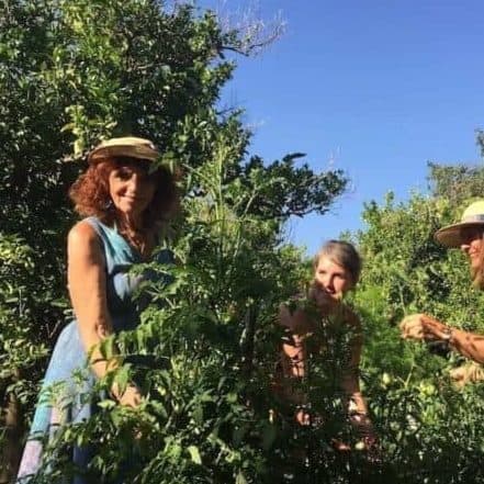 online permaculture design course for women image 13 edited