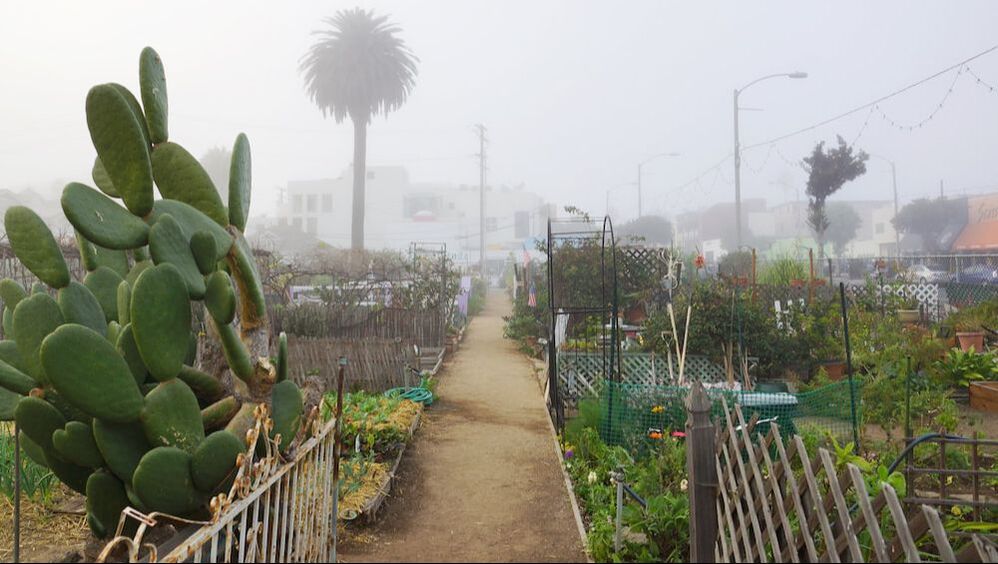 santa monica garen 1