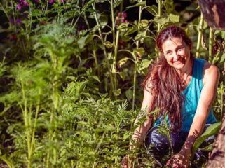 Permaculture Design Course Free image 1