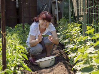 Permaculture Design Course Free image 2