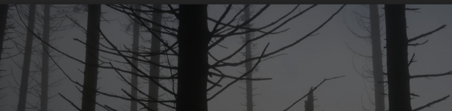 Screenshot 2021 03 02 at 13.13.27