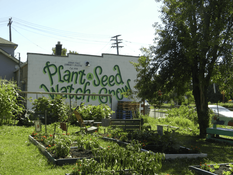 image 009
