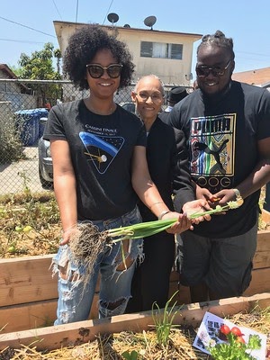 urban permaculture image 17