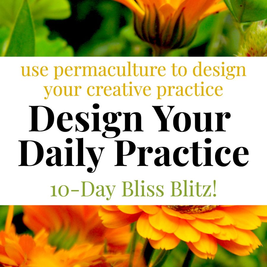 Best Online Permaculture Courses daily square