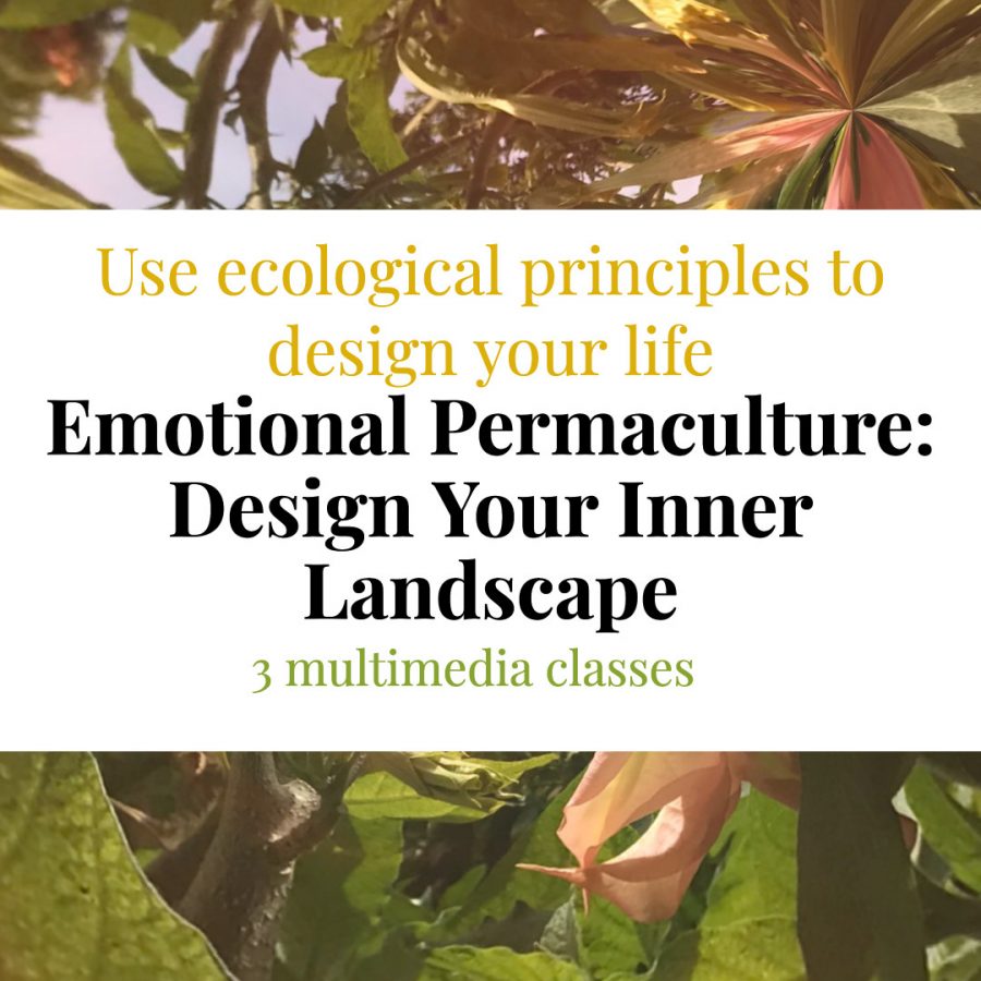 Best Online Permaculture Courses emo pc white square
