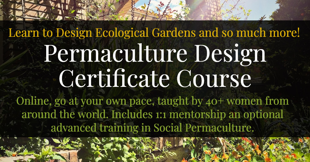 Best Online Permaculture Courses mv pdc