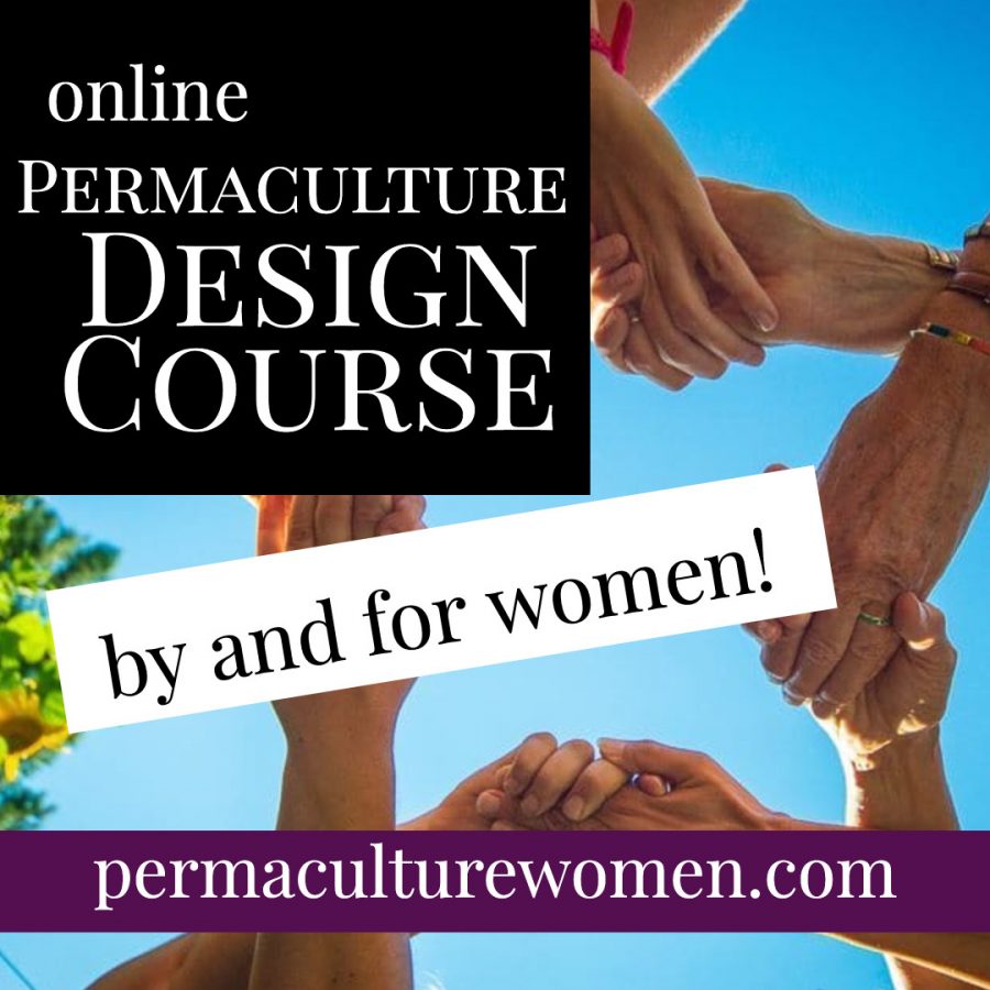 Best Online Permaculture Courses pdc 1
