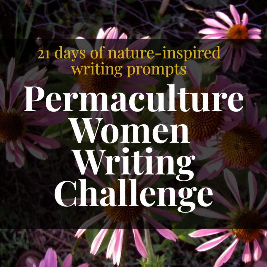 Best Online Permaculture Courses pww square