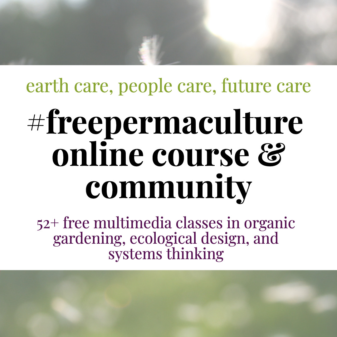 permaculture for beginners fpc square white