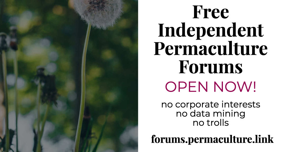 Free permaculture forums alternative to facebook alternative to permies.com