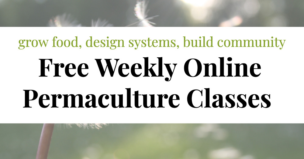 Learn Permaculture for Free cities Click here to study Permaculture for Free, Online and in Your Own Home, Garden, and Community!