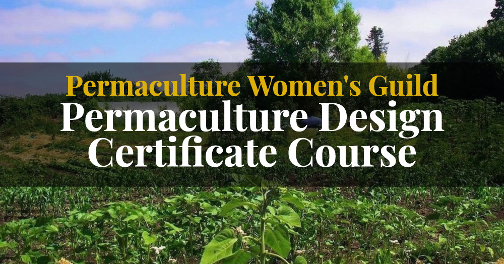 Learn Permaculture for Free cities mv pdc main
