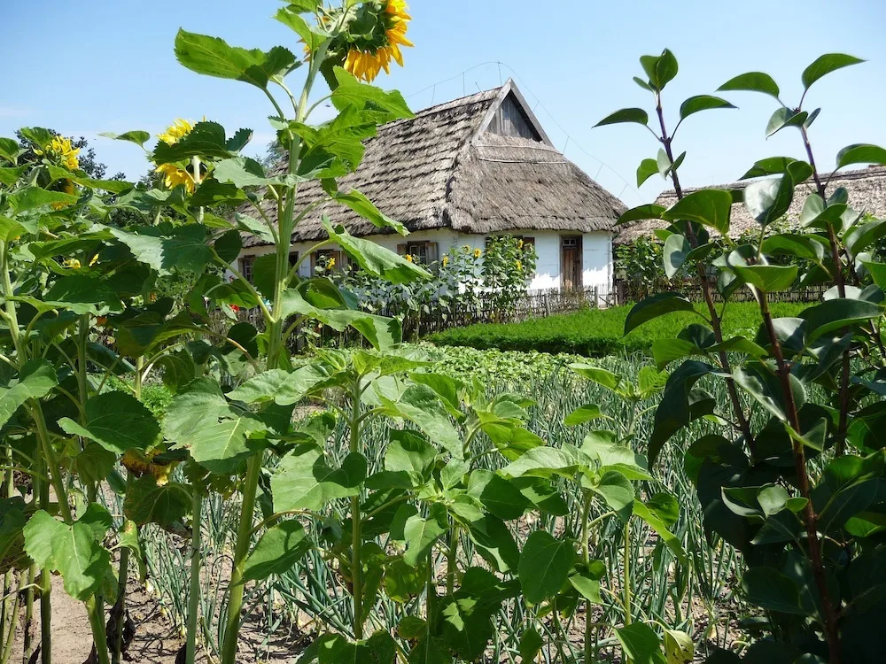 online permaculture design course jumpstory download20200405 163251