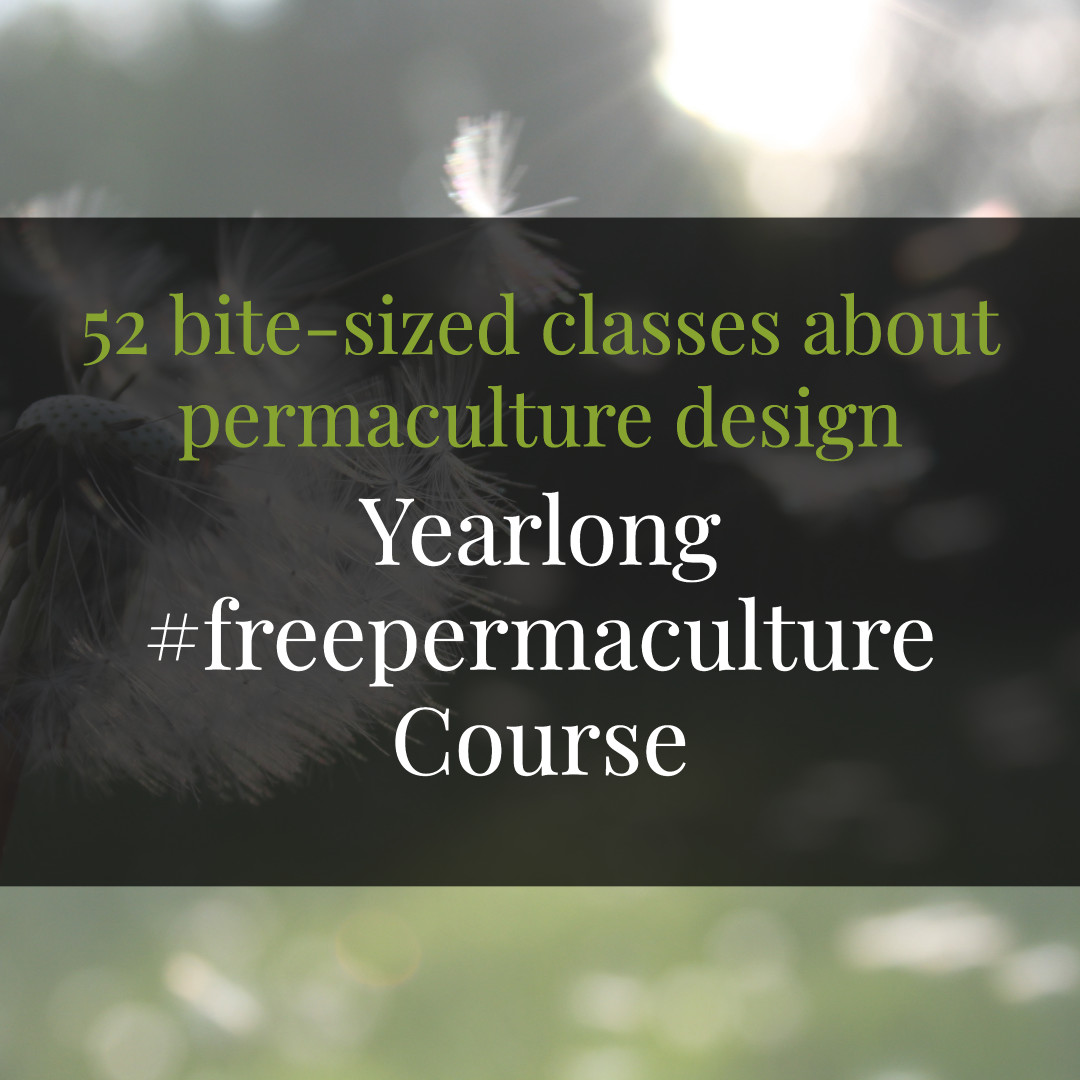 Best Online Permaculture Courses yearlong