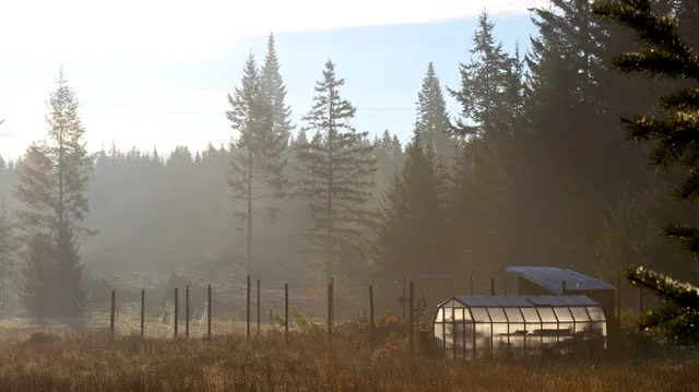 Voices of Women in Permaculture image 3