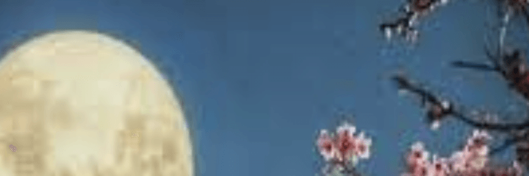 Screenshot 2021 12 09 at 11.41.00