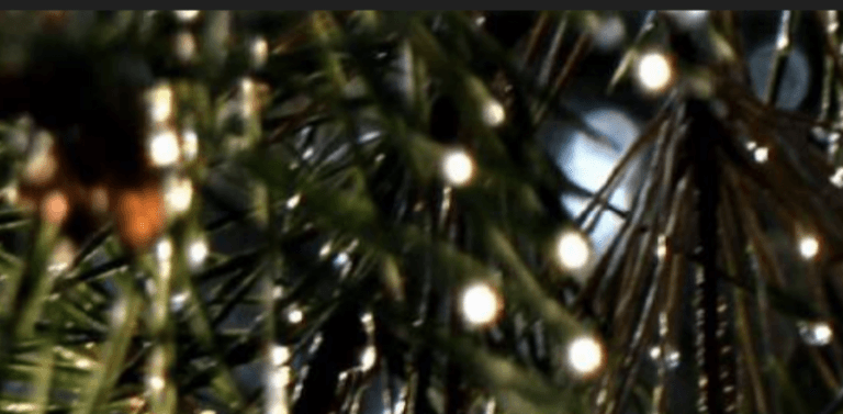 Screenshot 2021 12 31 at 15.17.08
