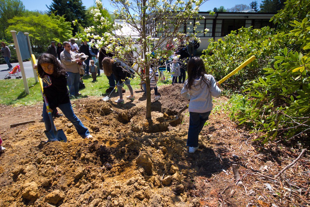 permaculture third ethic children image 3