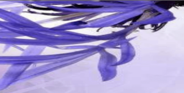 Screenshot 2022 05 15 at 20.37.48