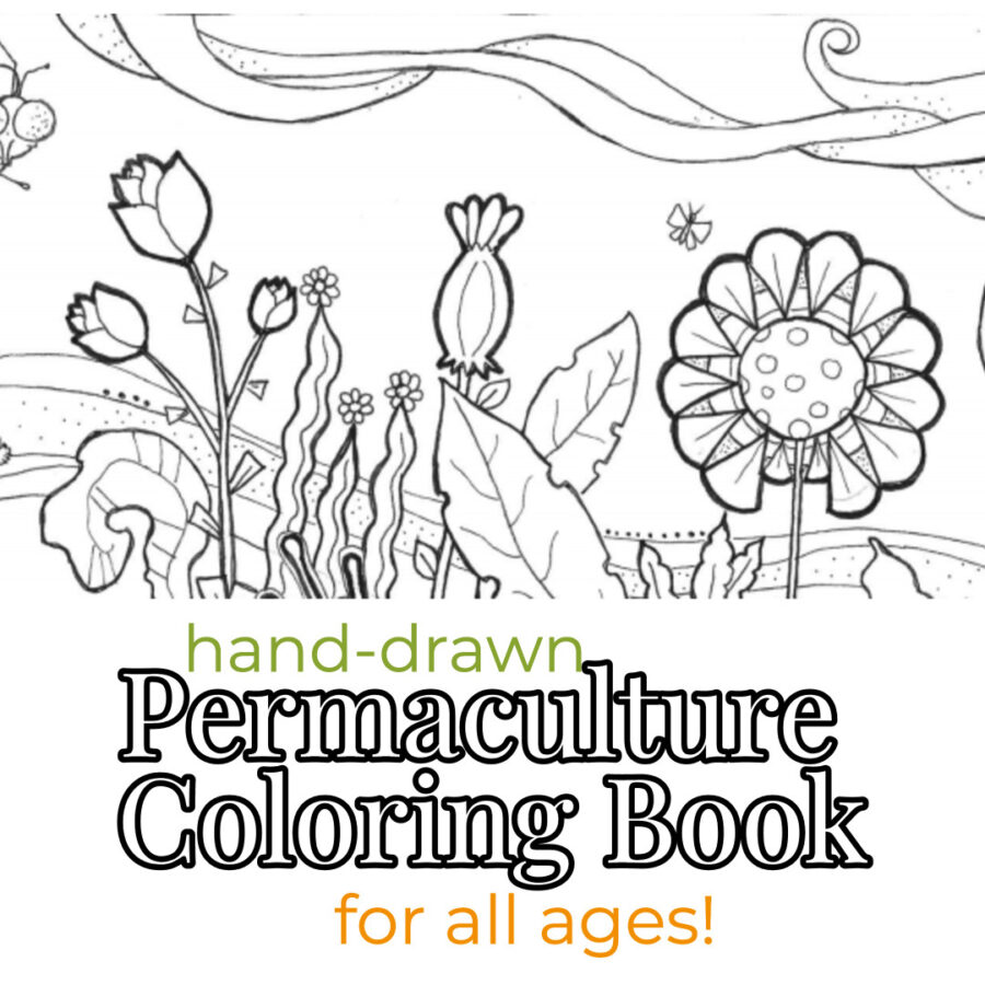 Women in permaculture coloringbook