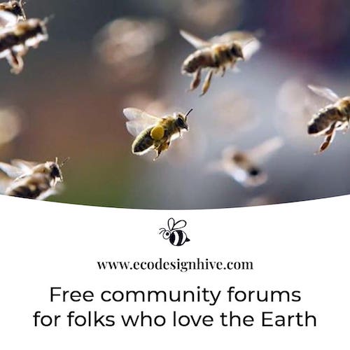 forums 500 1