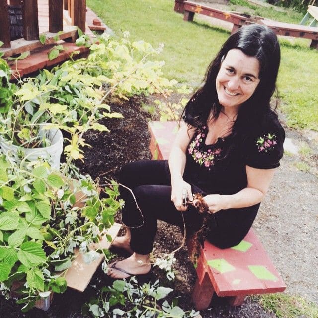 online permaculture design course 10377065 10153313196739806 3690522817424498463 n