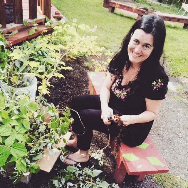 online permaculture design course 10377065 10153313196739806 3690522817424498463 n