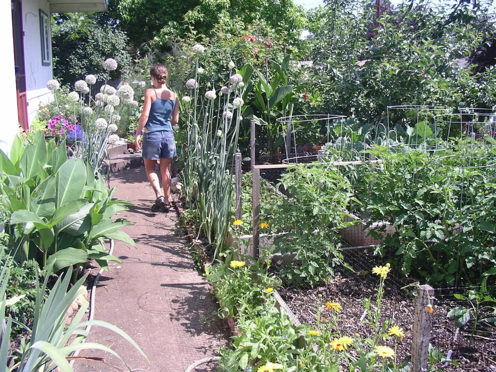 online permaculture design course for women 6 shakaia 2