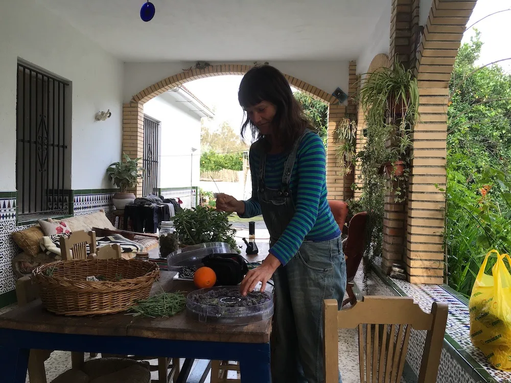 online permaculture design course IMG 0418