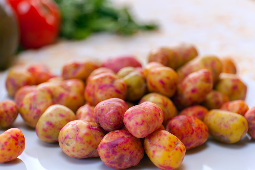 Oxalis tuberosa. Oca tubers are a delicious, spice perennial vegetable for food forests in a range of climates.