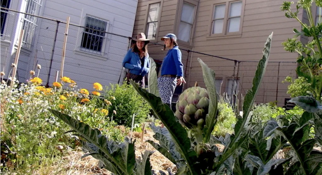 online permaculture design course Screenshot 2023 08 03 at 6.57.23 PM 1024x559 1